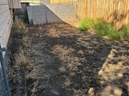 2010 W Sheffield Way, Carson City, NV 89701 Photo