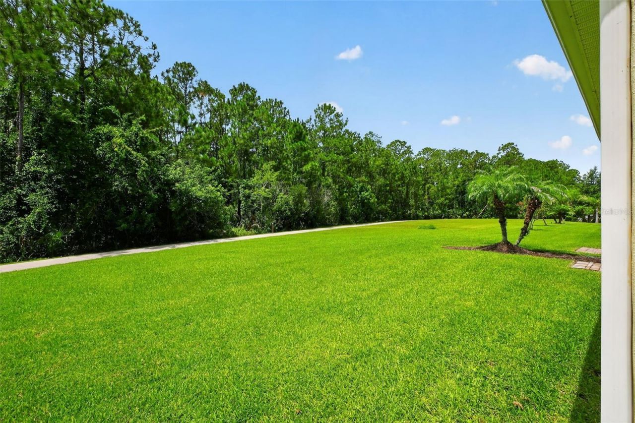 3421 Torre Boulevard, New Smyrna Beach, FL 32168 Photo