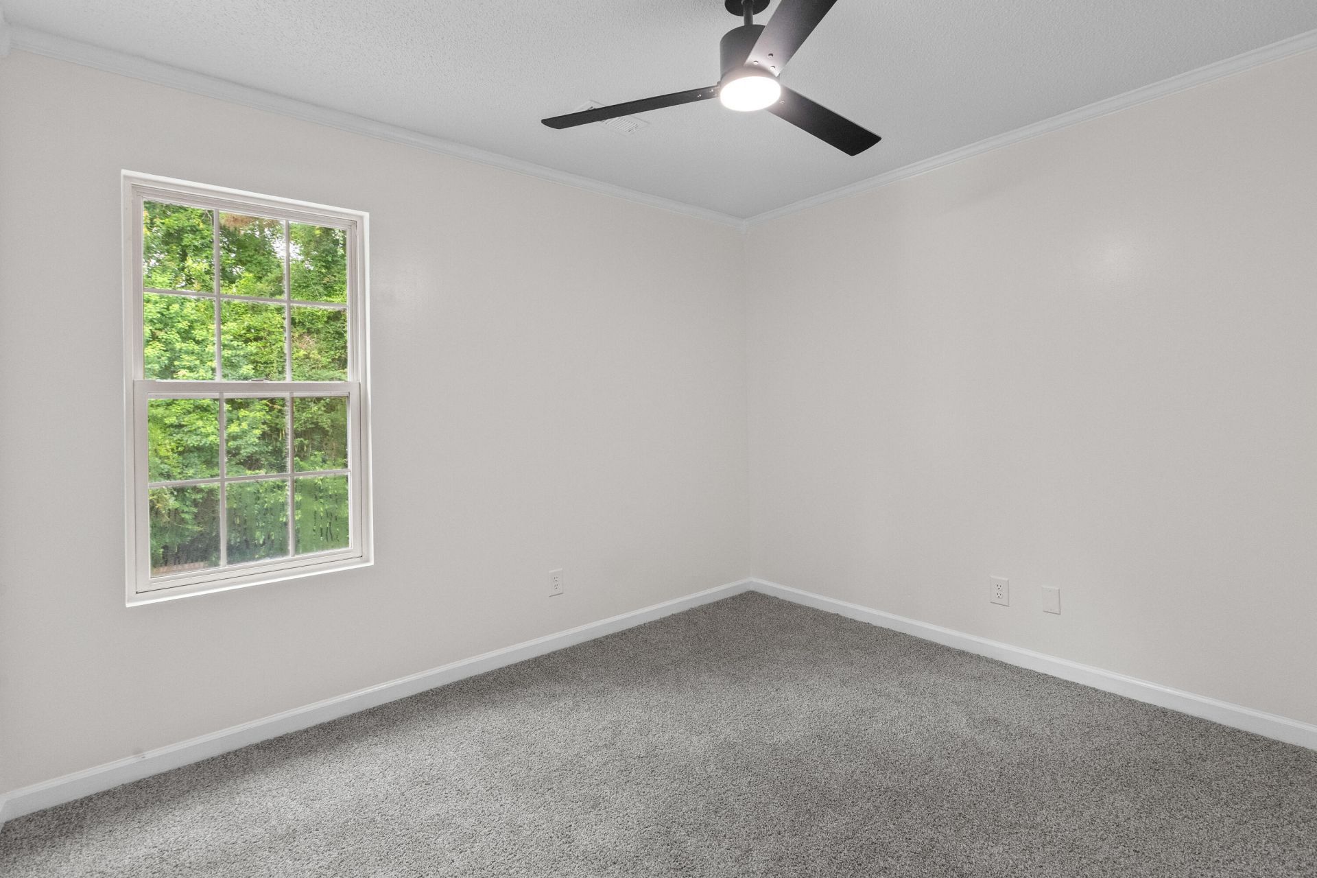 110 Lipman Street Photo 35