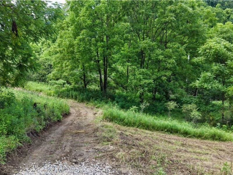 0 Temperanceville Highway, Barnesville, OH 43713 Photo 10