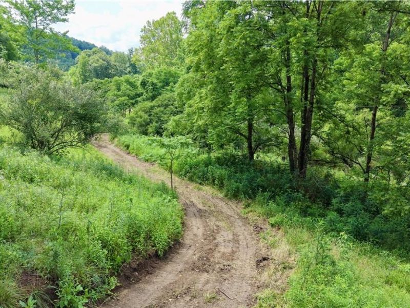 0 Temperanceville Highway, Barnesville, OH 43713 Photo 11