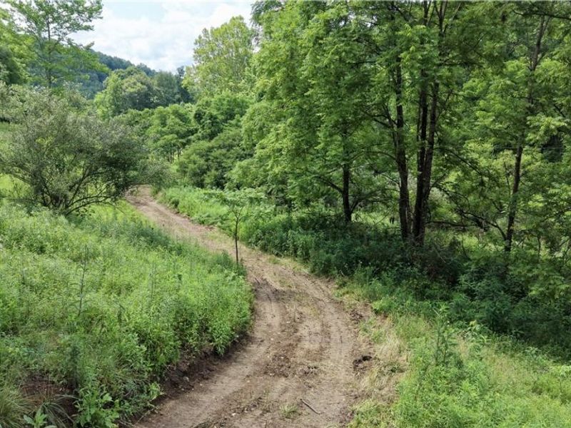 0 Temperanceville Highway, Barnesville, OH 43713 Photo 12