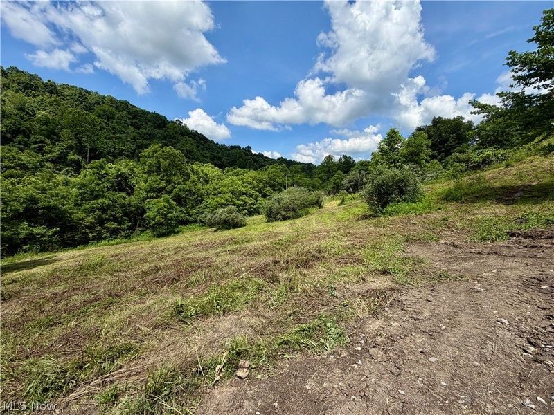 0 Temperanceville Highway, Barnesville, OH 43713 Photo 18