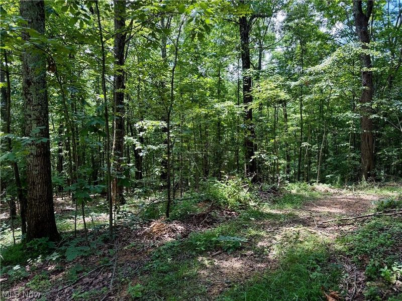 0 Temperanceville Highway, Barnesville, OH 43713 Photo 28