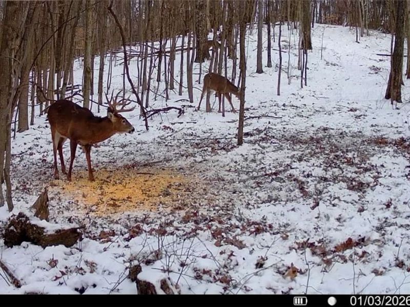0 Temperanceville Highway, Barnesville, OH 43713 Photo 39