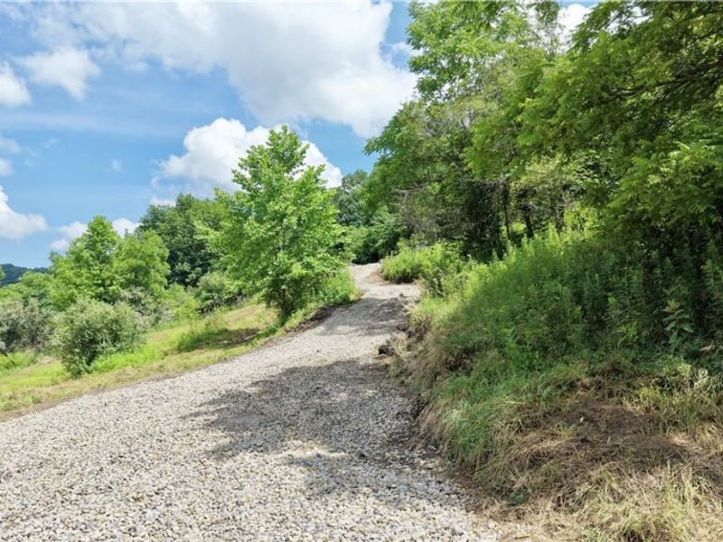 0 Temperanceville Highway, Barnesville, OH 43713 Photo 4