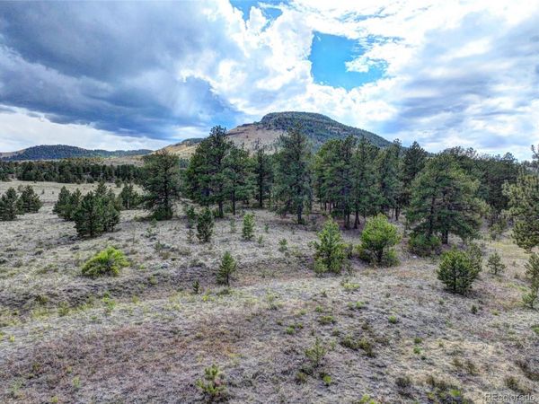 10050 County Rd 102 , Guffey, CO 80820