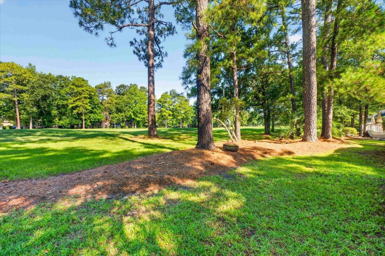 8843 E Fairway Woods Drive Photo 63