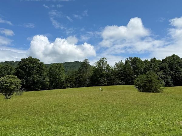 Lot 51 The Preserve At Cc, Young Harris, GA 30582