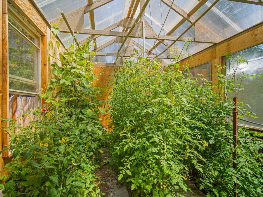 Property Image 26