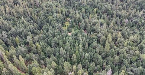 Marshall Rd, Georgetown, CA 95634 Photo