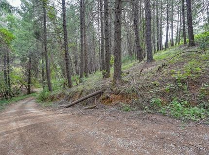 Marshall Rd, Georgetown, CA 95634 Photo