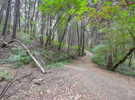 Marshall Rd, Georgetown, CA 95634 Photo