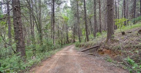 Marshall Rd, Georgetown, CA 95634 Photo