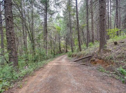 Marshall Rd, Georgetown, CA 95634 Photo