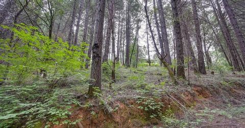 Marshall Rd, Georgetown, CA 95634 Photo