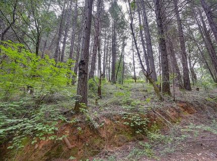 Marshall Rd, Georgetown, CA 95634 Photo