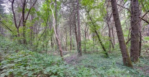 Marshall Rd, Georgetown, CA 95634 Photo