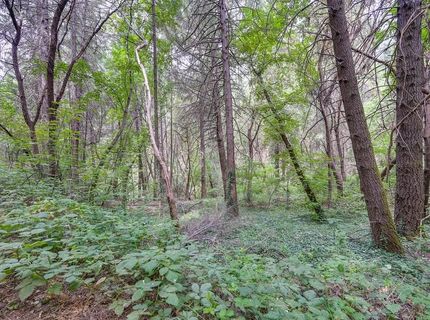 Marshall Rd, Georgetown, CA 95634 Photo