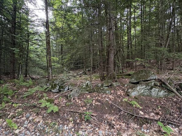 0 Access Road, Unit MAP 18A LOT 15, Chesterfield, NH 03462