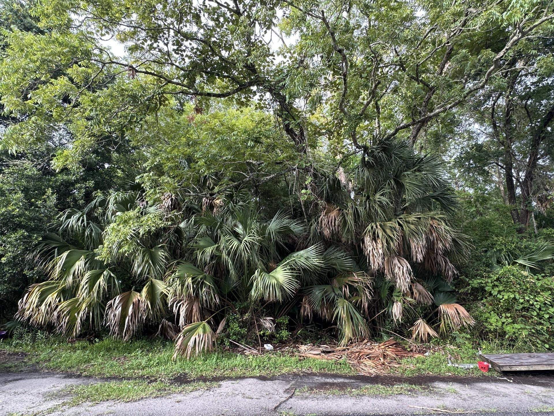 195 8th Street , Apalachicola, FL 32320 Photo