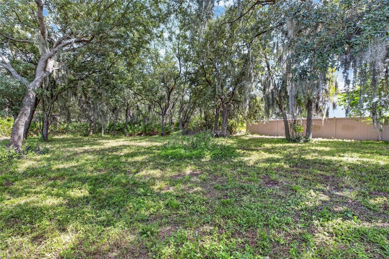 16441 Treasure Point Drive , Wimauma, FL 33598 Photo