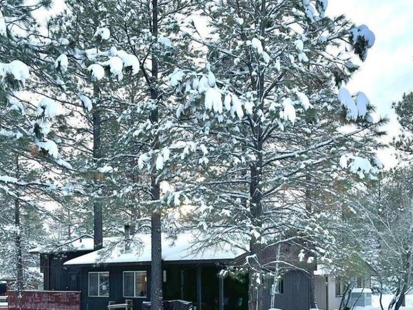 1265 E CARIBOU Road, Munds Park, AZ 86017