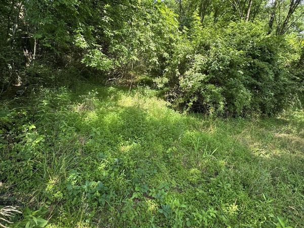 9108 Hwy 20, Summertown, TN 38483