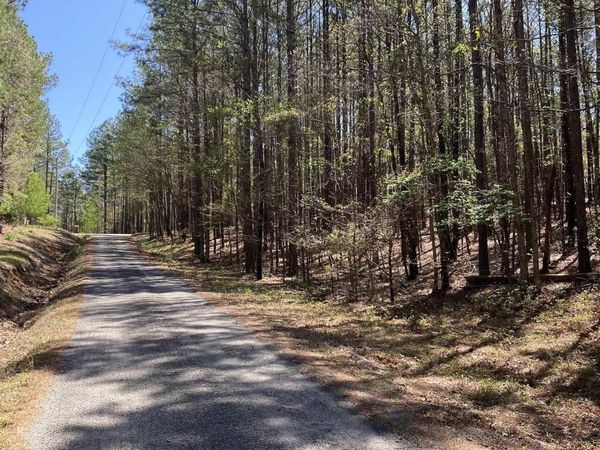 87 Woodland Springs Road , Mount Ida, AR 71957