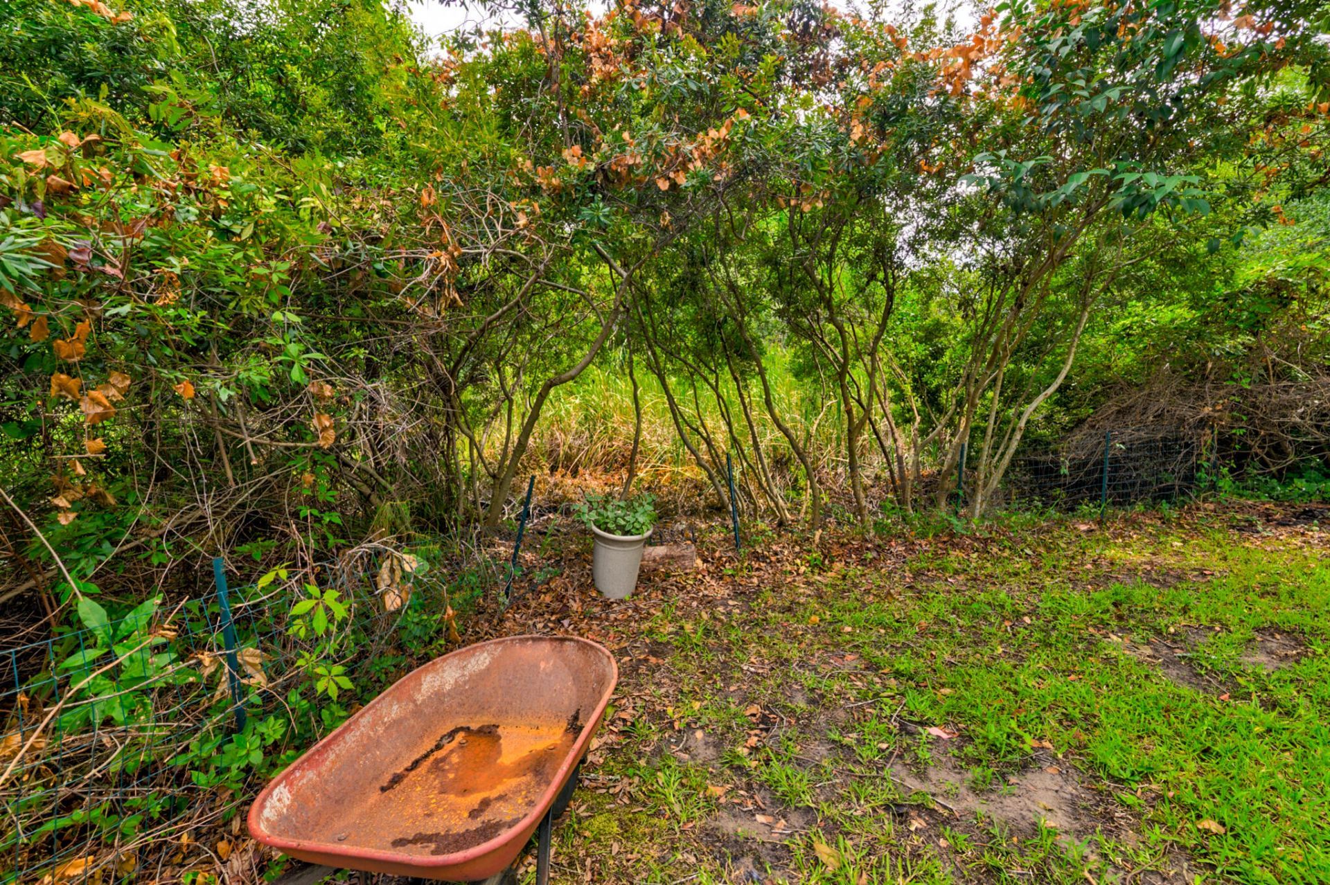 454 Trapier Drive Photo 56