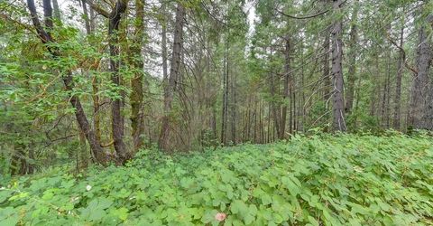 3701 Marshall Rd, Garden Valley, CA 95633 Photo