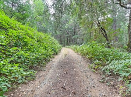 3701 Marshall Rd, Garden Valley, CA 95633 Photo