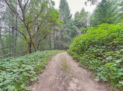 3701 Marshall Rd, Garden Valley, CA 95633 Photo