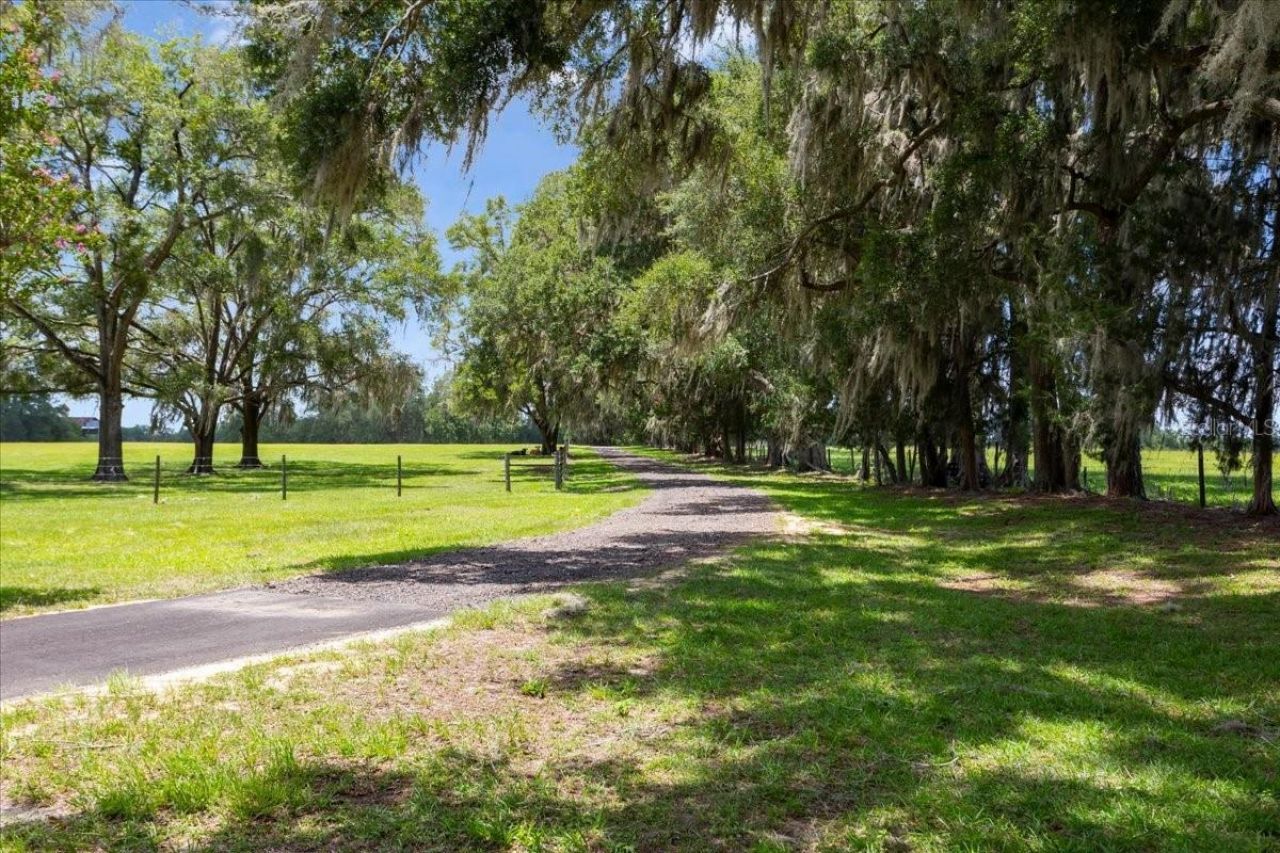 3201 NW 202 Street, Newberry, FL 32669 Photo