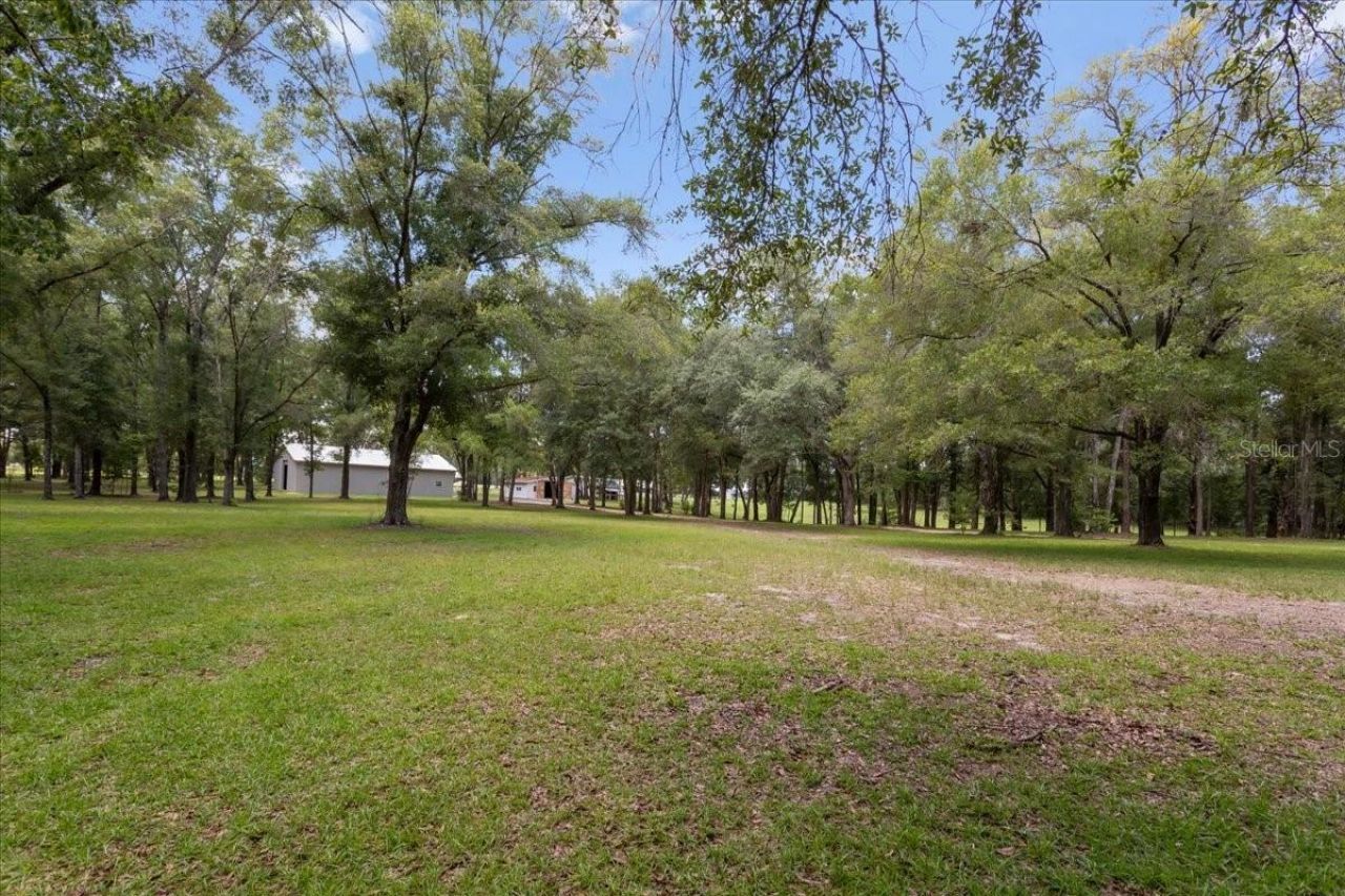 3201 NW 202 Street, Newberry, FL 32669 Photo