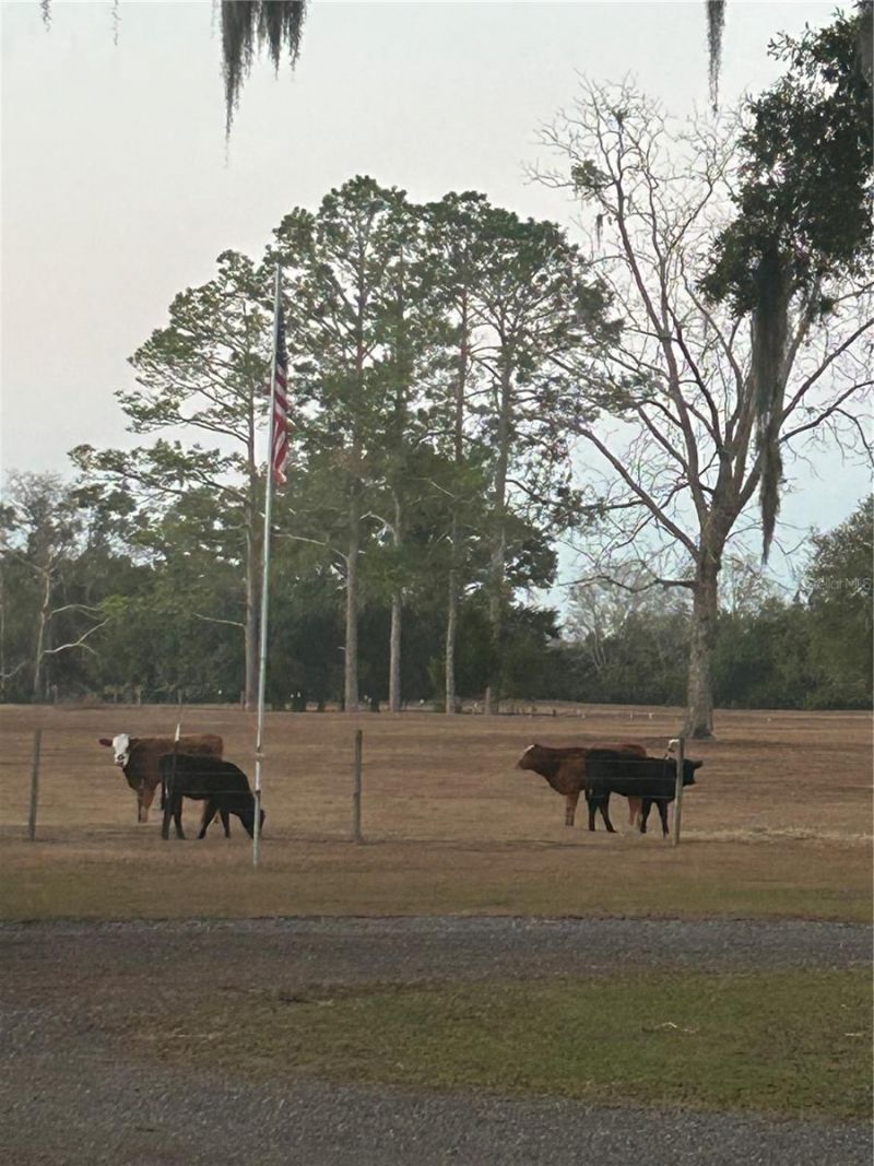 3201 NW 202 Street, Newberry, FL 32669 Photo