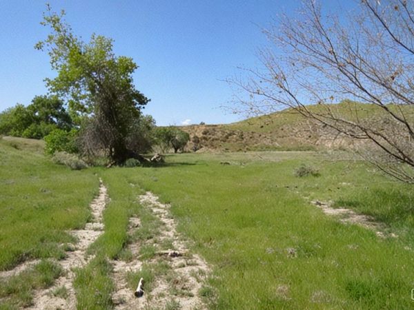 0 Hwy 198 , Coalinga, CA 93210