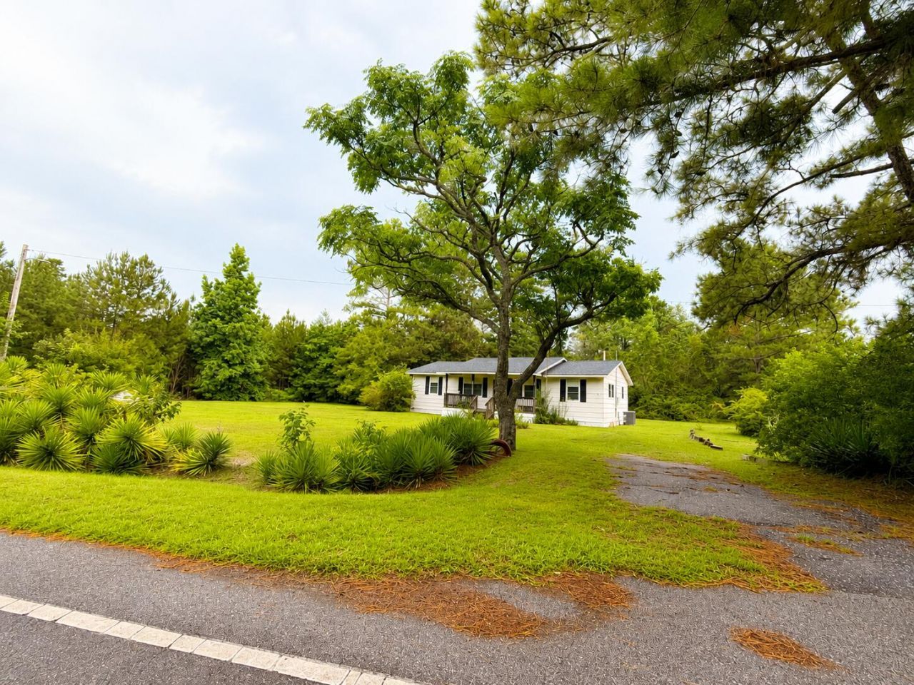124 Emily Road Photo 15