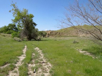 0 Hwy 198, Coalinga, CA 93210 Photo