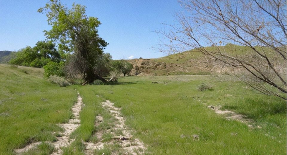 0 Hwy 198, Coalinga, CA 93210 Photo