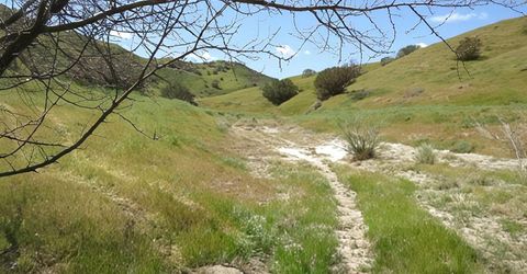 0 Hwy 198, Coalinga, CA 93210 Photo