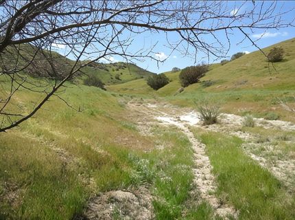 0 Hwy 198, Coalinga, CA 93210 Photo