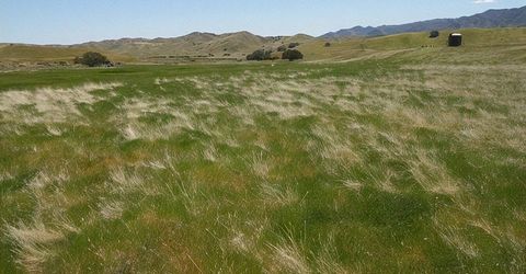 0 Hwy 198, Coalinga, CA 93210 Photo