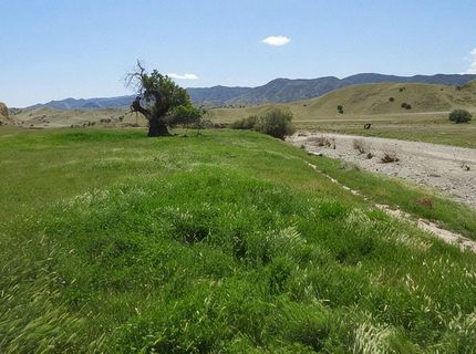 0 Hwy 198, Coalinga, CA 93210 Photo