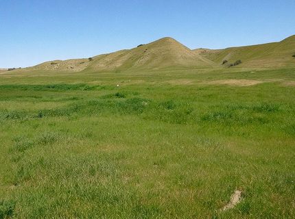 0 Hwy 198, Coalinga, CA 93210 Photo
