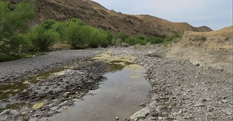 0 Hwy 198, Coalinga, CA 93210 Photo