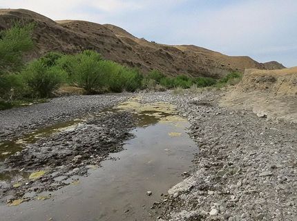 0 Hwy 198, Coalinga, CA 93210 Photo