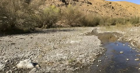 0 Hwy 198, Coalinga, CA 93210 Photo