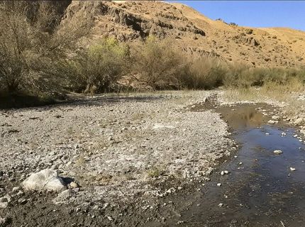 0 Hwy 198, Coalinga, CA 93210 Photo