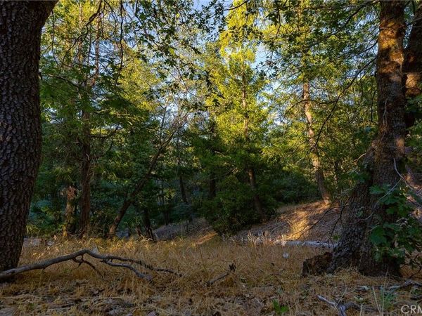 0 Ridge Drive, Cedarpines Park, CA 92322